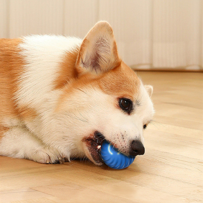 ActiveBounce™ Smart Dog Ball