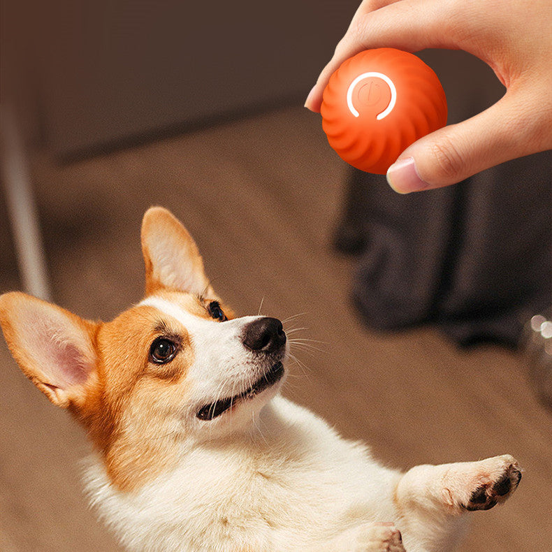 ActiveBounce™ Smart Dog Ball